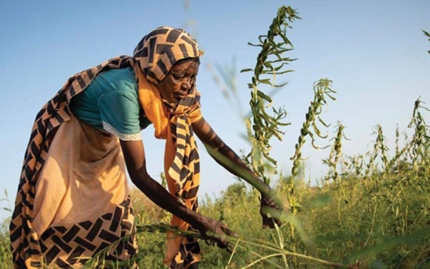 Ekran görüntüsü 2025-07-15 135346